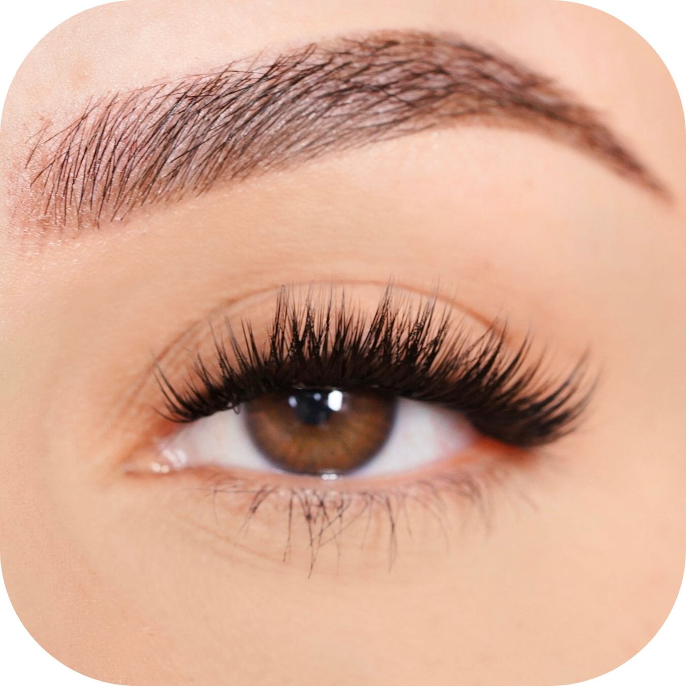 Adventurous - Tray False Eyelashes Custom Lashes Australia
