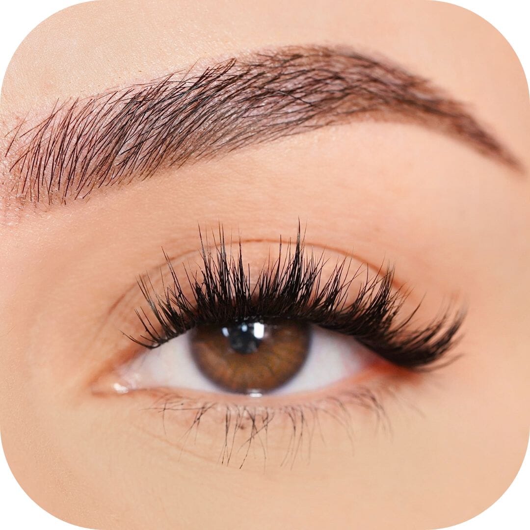 Bold - Tray False Eyelashes Custom Lashes Australia