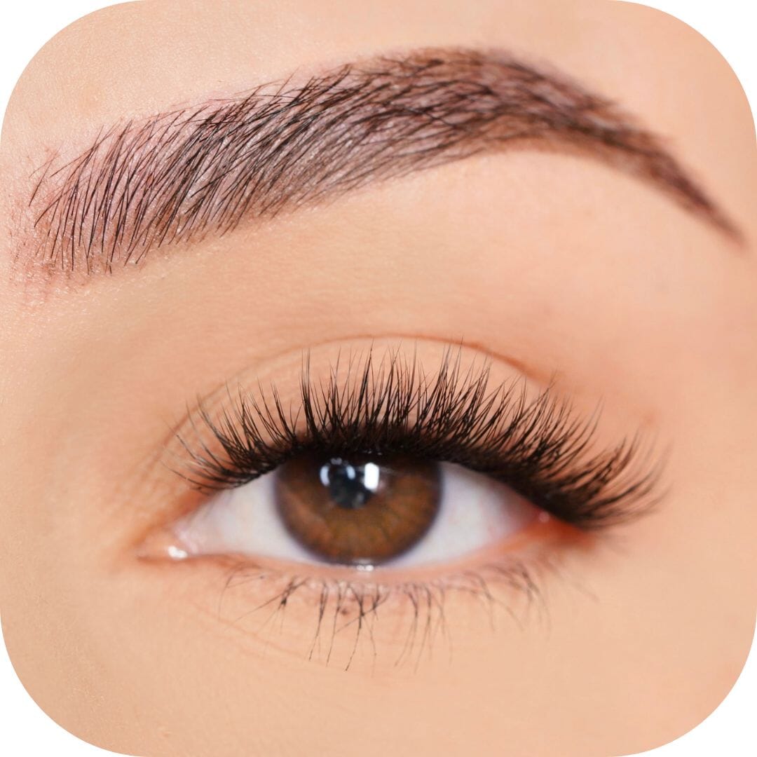 Charming - Tray False Eyelashes Custom Lashes Australia