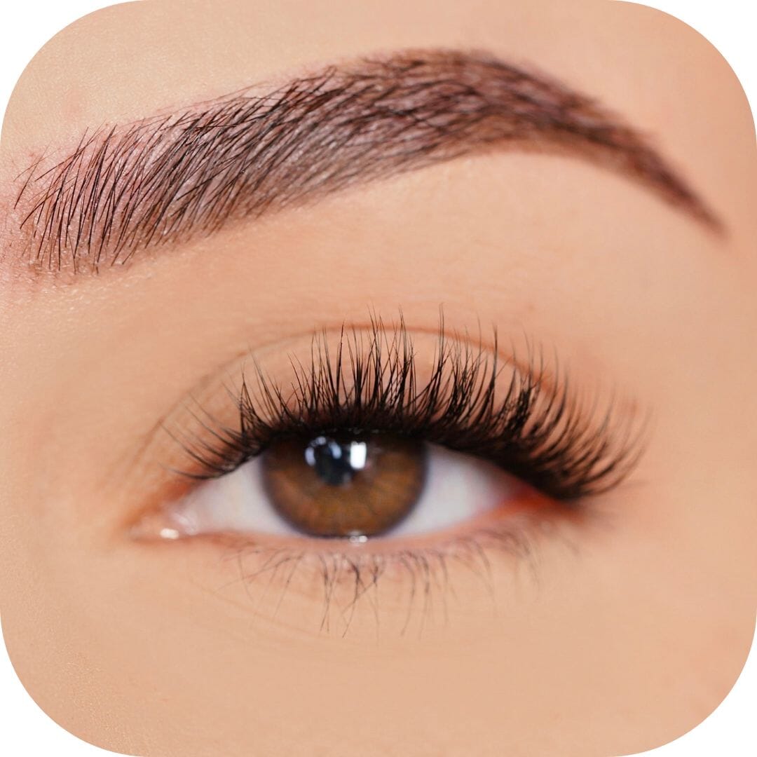 Classy - Tray False Eyelashes Custom Lashes Australia