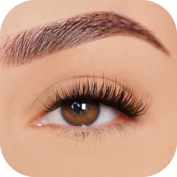 Classy - Tray False Eyelashes Custom Lashes Australia