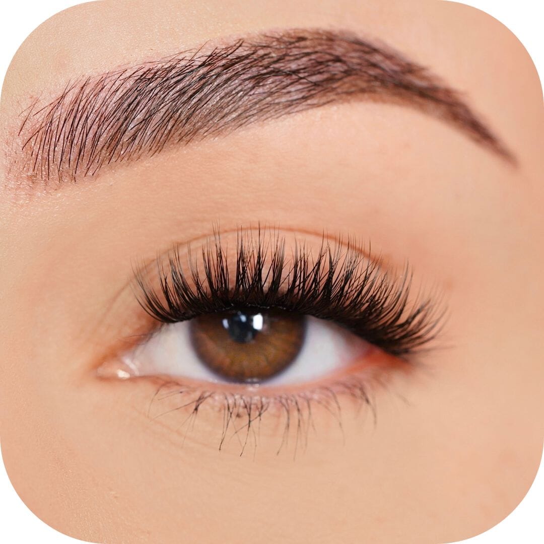 Confident - Tray False Eyelashes Custom Lashes Australia