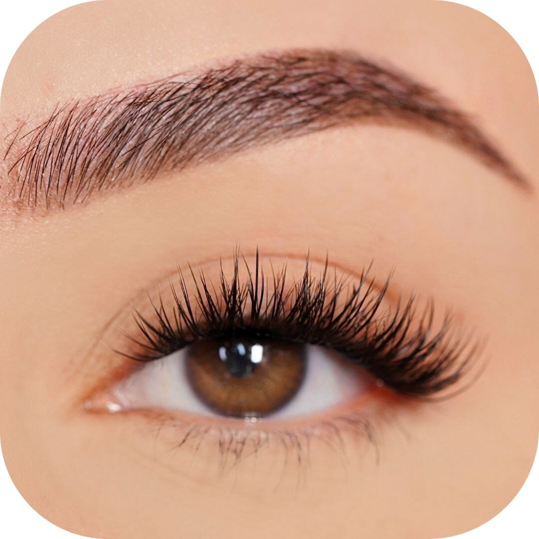 Courageous - Pre Mapped False Eyelashes Custom Lashes Australia