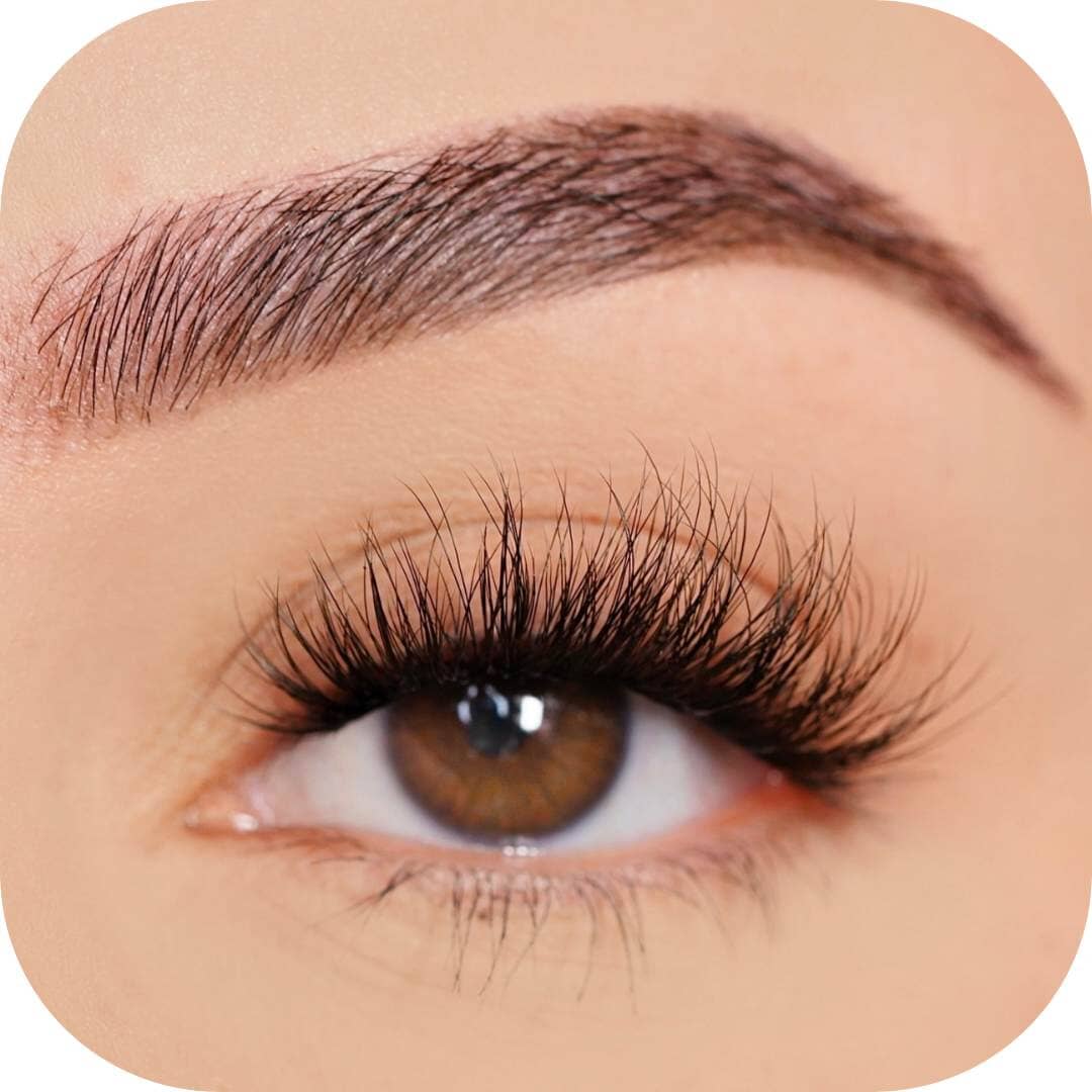 Dreamer - Pre Mapped False Eyelashes Custom Lashes Australia