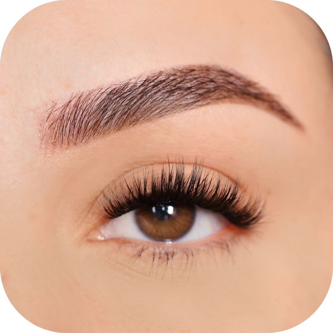 Fabulous - Tray False Eyelashes Custom Lashes Australia
