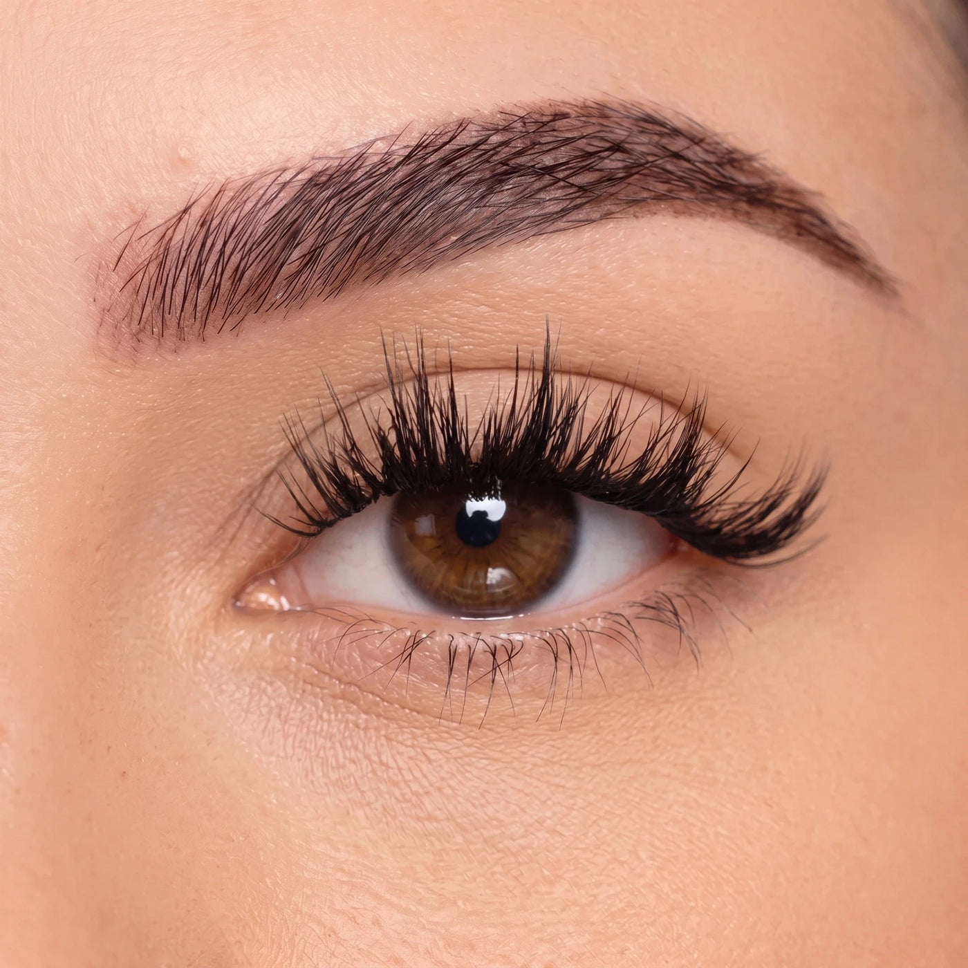 Bold - Tray False Eyelashes Custom Lashes Australia 