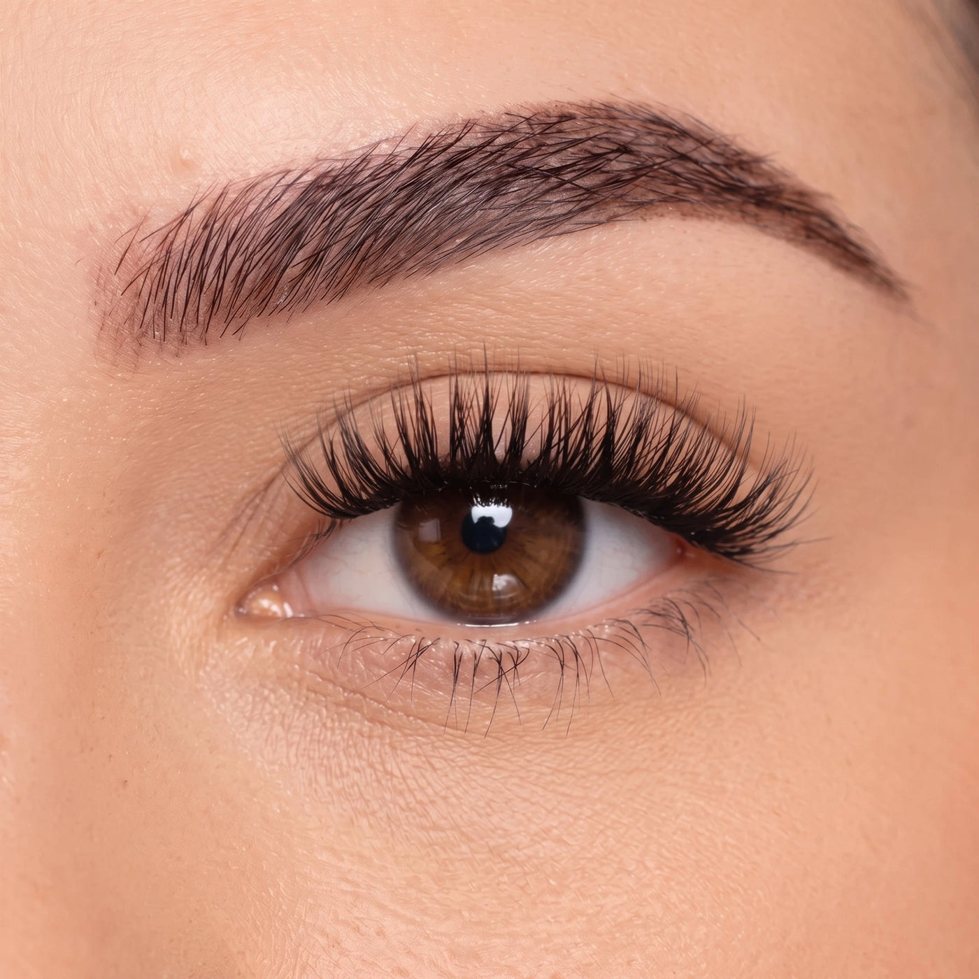 Confident - Tray False Eyelashes Custom Lashes Australia 