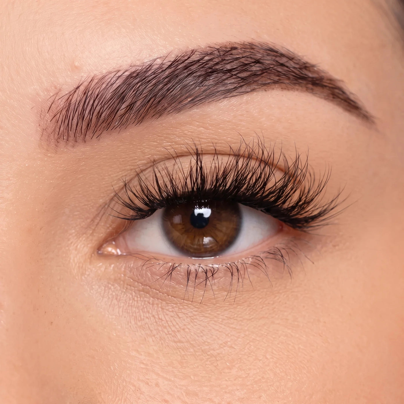 Dreamer - Pre Mapped False Eyelashes Custom Lashes Australia 