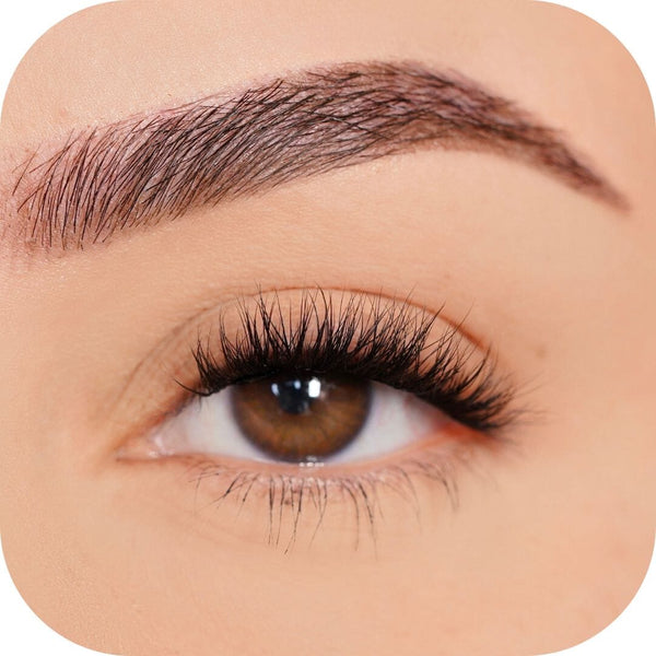 Kind - Pre Mapped False Eyelashes Custom Lashes Australia 