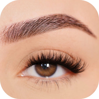 Passionate - Pre Mapped False Eyelashes Custom Lashes Australia 