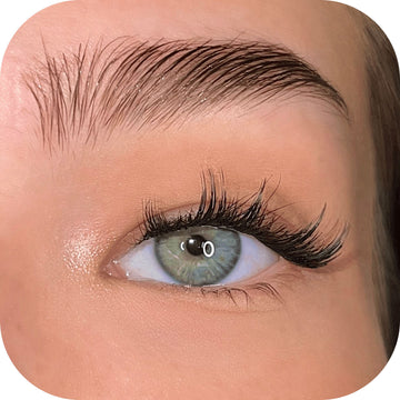 Bold - Tray False Eyelashes Custom Lashes Australia 